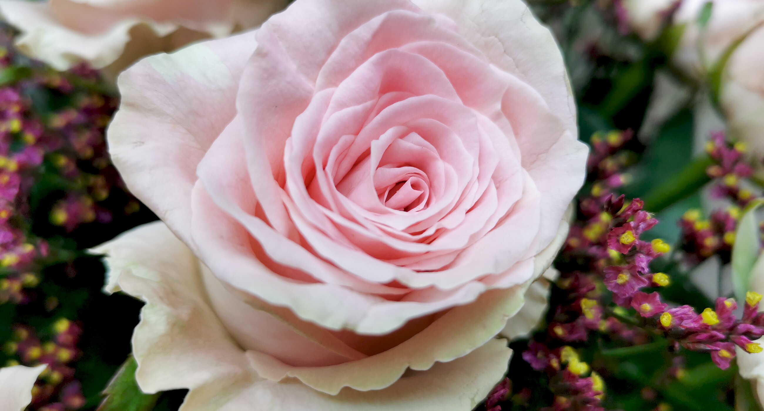 Blumen Kuster, Stans - Nidwalden
