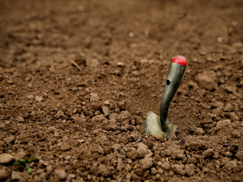 Blumenladen, Gartencenter Kuster, Stans - Nidwalden