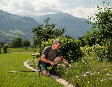 Gartenunterhalt, Gartenpflege