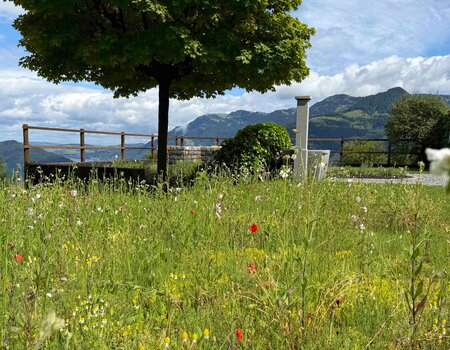 Einheimische Gartengestaltung