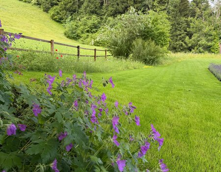 Einheimische Gartengestaltung