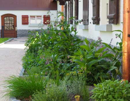Naturnaher Garten