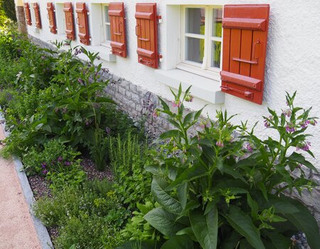 Naturnaher Garten