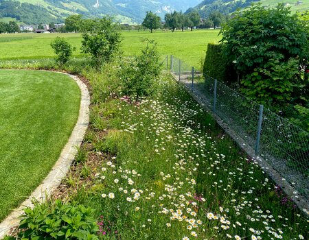 Garten neu gestalten