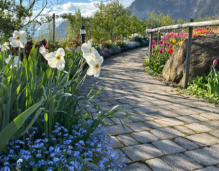 Gartengestaltung