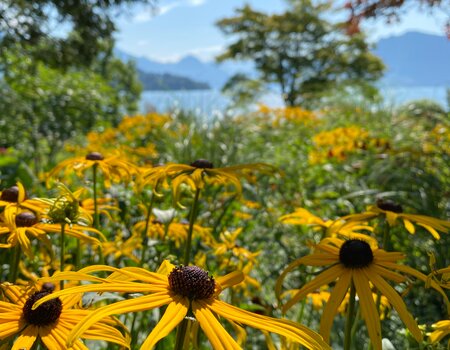 Bepflanzung, Biodiversität