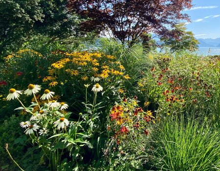 Bepflanzung, Biodiversität