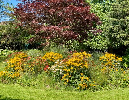 Bepflanzung, Biodiversität