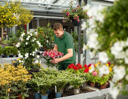Gartencenter