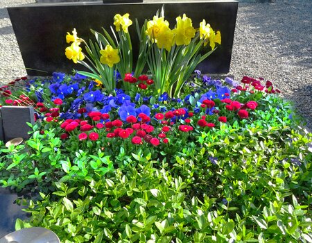 Grabpflege Gartenbau Stans - Nidwalden