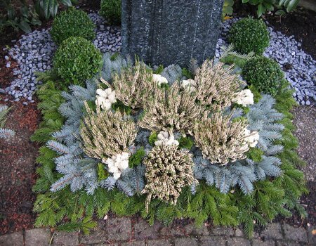 Grabpflege Gartenbau Stans - Nidwalden