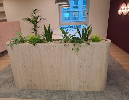 Innenbegrünung mit Zimmer- & Hydropflanzen