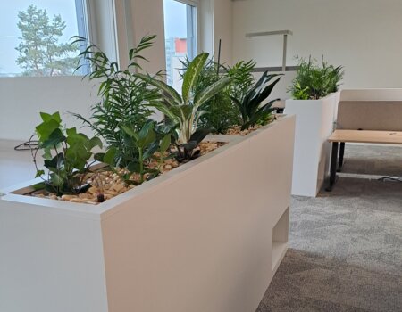Innenbegrünung mit Zimmer- & Hydropflanzen