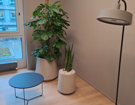 Innenbegrünung mit Zimmer- & Hydropflanzen
