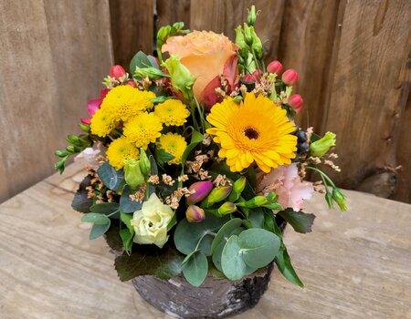Little Sunshine, Fr. 45.00 – 65.00